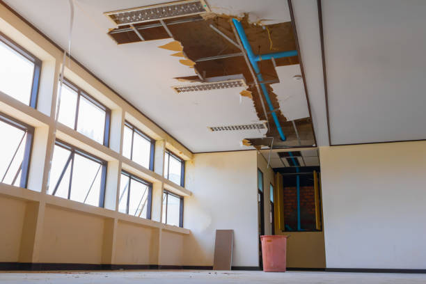 Best Water damage mitigation services  in Sullivans Island, SC