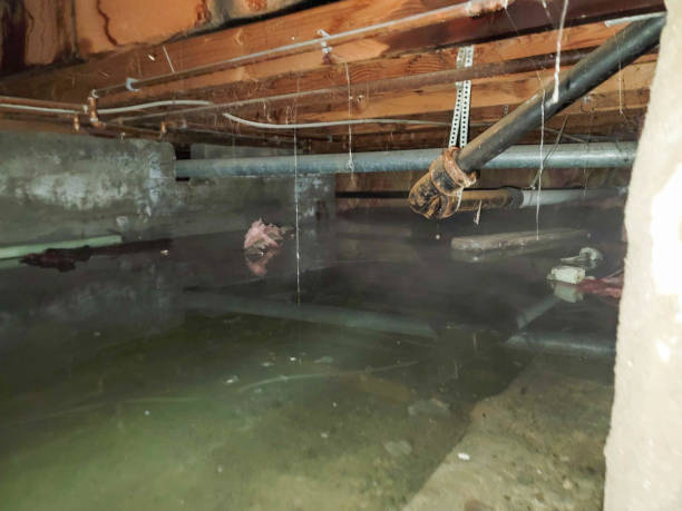 Best Sewage cleanup and water damage restoration  in Sullivans Island, SC