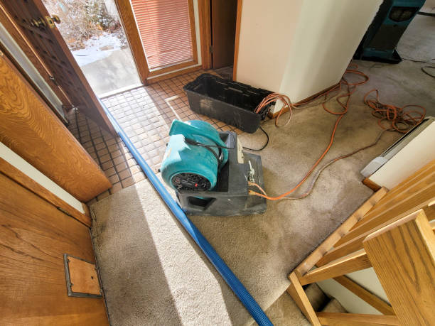 Best Flood restoration services  in Sullivans Island, SC