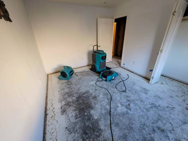 Best Emergency water damage restoration  in Sullivans Island, SC