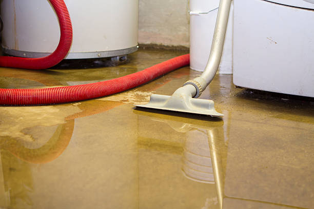Best Ceiling water damage repair  in Sullivans Island, SC