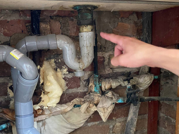 Best Commercial water damage restoration  in Sullivans Island, SC