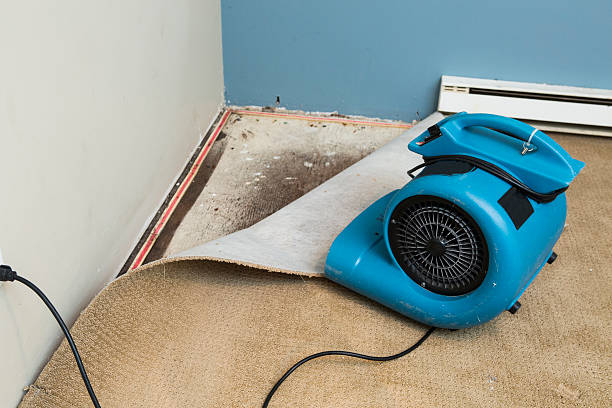 Best Water damage restoration near me  in Sullivans Island, SC